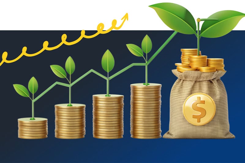 Plant Growing Out Of Stacks Of Coins
